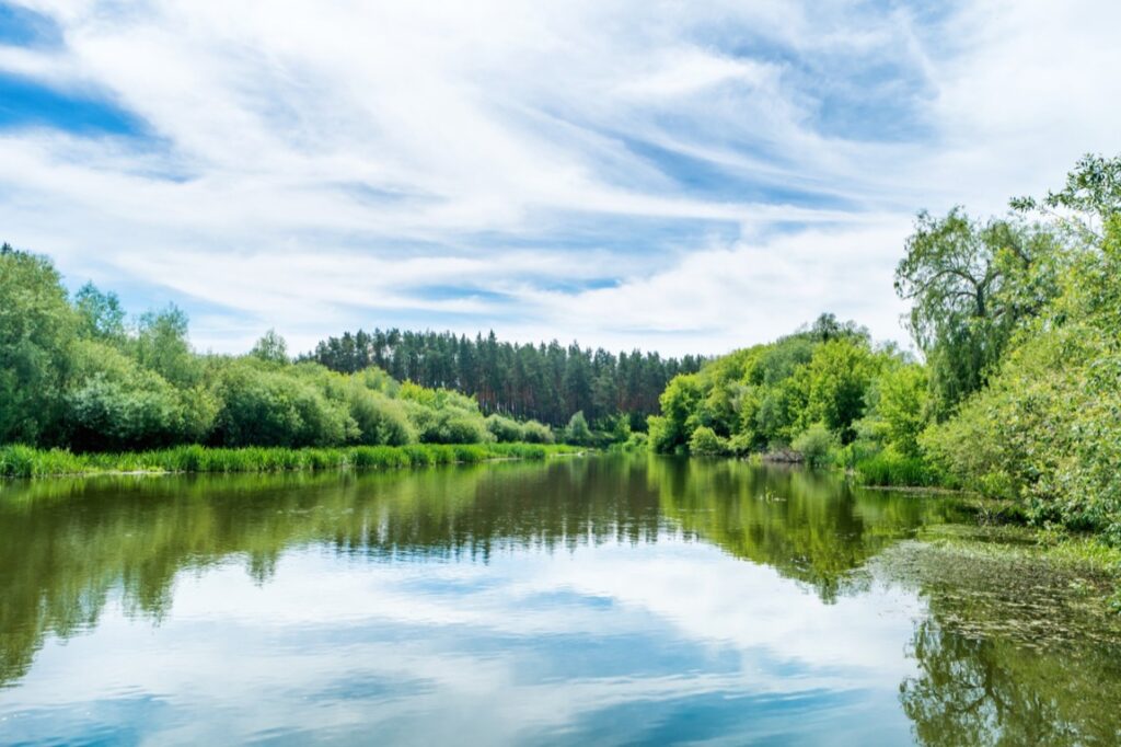 Właściciele działek z linią brzegową cieszą się wyjątkowym bliskością natury i wodą, która oferuje nie tylko piękne widoki, ale również przestrzeń do aktywnego wypoczynku i relaksu